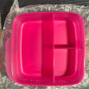 Divided lunch container